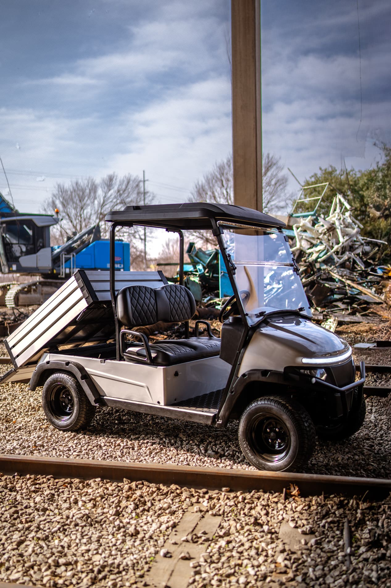 Denago Oxen — Wild Rides Carts in Colorado
