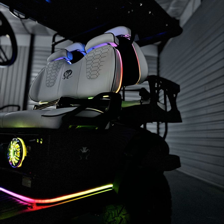 Electric golf cart — Wild Rides Carts